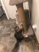 Фото из отзыва пользователя