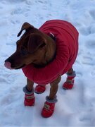 Фото из отзыва пользователя