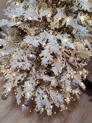 Фото из отзыва пользователя