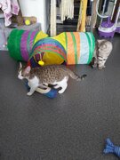 Фото из отзыва пользователя