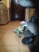 Фото из отзыва пользователя