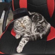 Фото из отзыва пользователя