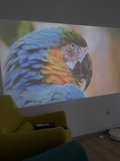 Фото из отзыва пользователя