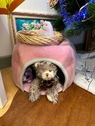 Фото из отзыва пользователя