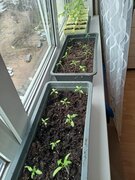 Фото из отзыва пользователя