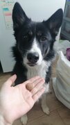 Фото из отзыва пользователя