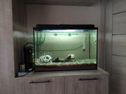 Фото из отзыва пользователя