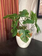 Фото из отзыва пользователя