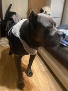 Фото из отзыва пользователя