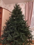 Фото из отзыва пользователя