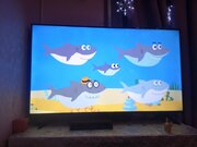 Фото из отзыва пользователя