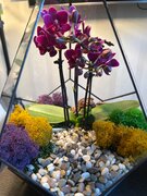 Фото из отзыва пользователя