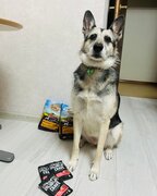 Фото из отзыва пользователя