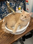 Фото из отзыва пользователя