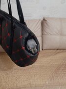 Фото из отзыва пользователя