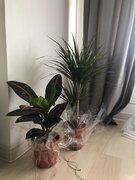 Фото из отзыва пользователя