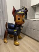 Фото из отзыва пользователя