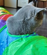 Фото из отзыва пользователя