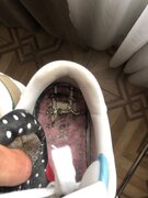 Фото из отзыва пользователя