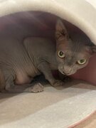 Фото из отзыва пользователя