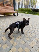 Фото из отзыва пользователя