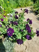 Фото из отзыва пользователя