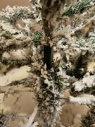 Фото из отзыва пользователя