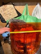 Фото из отзыва пользователя