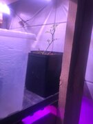 Фото из отзыва пользователя