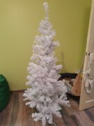 Фото из отзыва пользователя