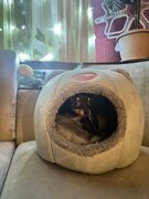 Фото из отзыва пользователя