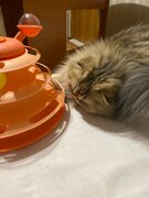 Фото из отзыва пользователя