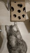 Фото из отзыва пользователя