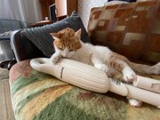 Фото из отзыва пользователя