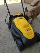 Фото из отзыва пользователя