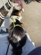 Фото из отзыва пользователя