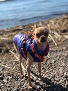 Фото из отзыва пользователя