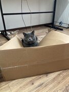 Фото из отзыва пользователя