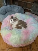 Фото из отзыва пользователя