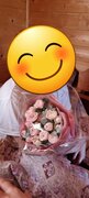 Фото из отзыва пользователя