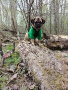 Фото из отзыва пользователя