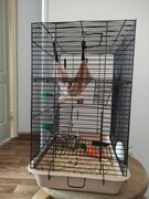 Фото из отзыва пользователя