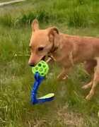 Фото из отзыва пользователя