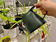 Фото из отзыва пользователя
