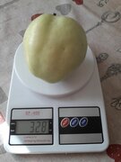 Фото из отзыва пользователя