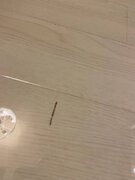 Фото из отзыва пользователя