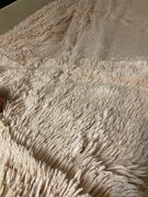 Фото из отзыва пользователя