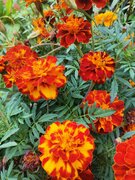 Фото из отзыва пользователя