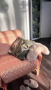 Фото из отзыва пользователя