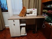 Фото из отзыва пользователя